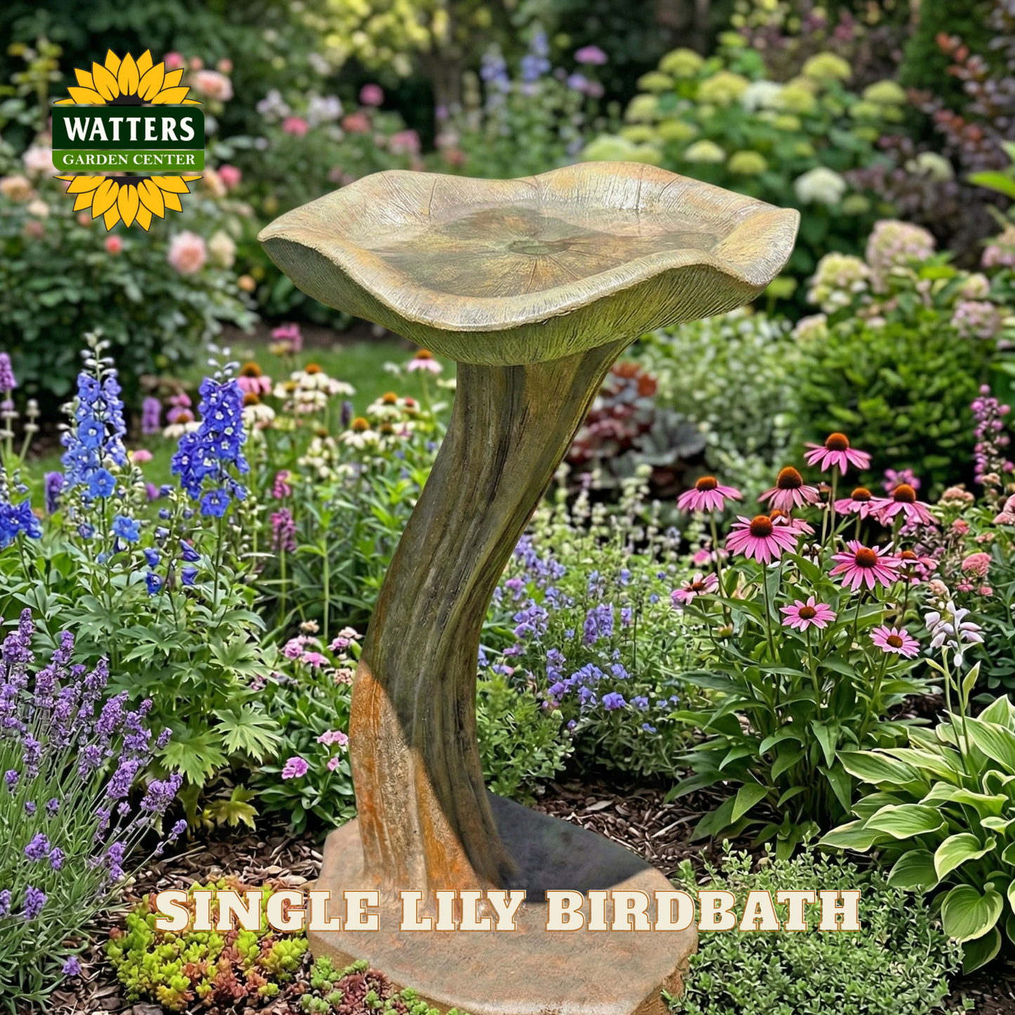 Single lily bird bath in a garden setting with Watters Garden Center branding.