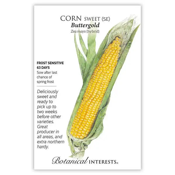 SEEDS 349