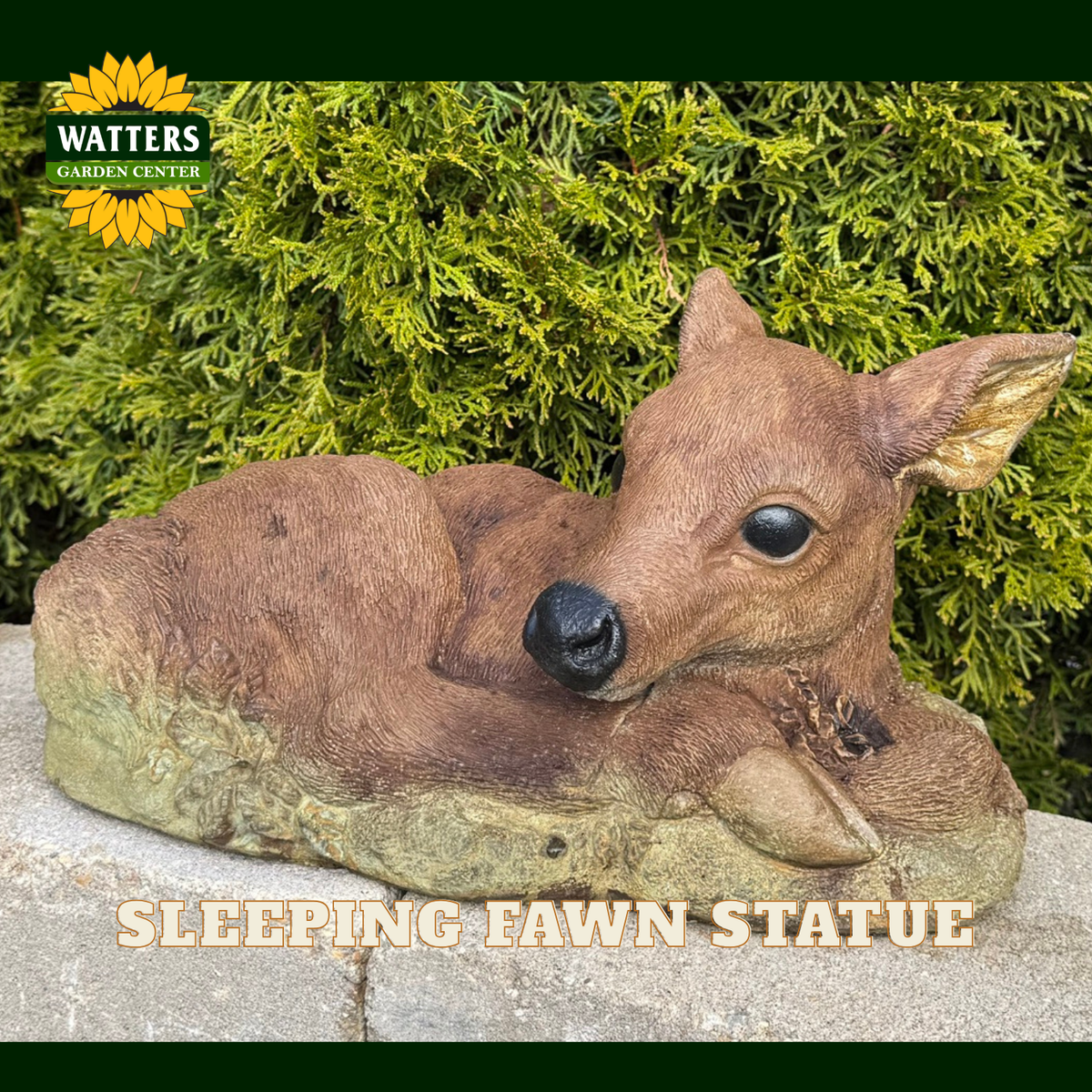A realistic sleeping fawn statue in brown and tan tones, resting on a stone surface with green foliage behind it. The Watters Garden Center logo appears in the top-left corner, and the text 'SLEEPING FAWN STATUE' is overlaid at the bottom.