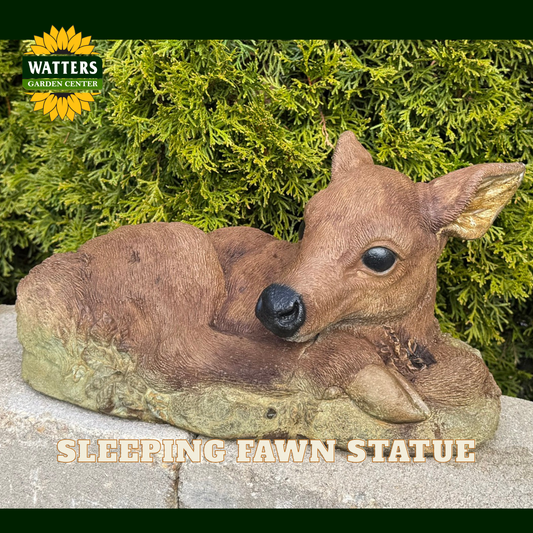 A realistic sleeping fawn statue in brown and tan tones, resting on a stone surface with green foliage behind it. The Watters Garden Center logo appears in the top-left corner, and the text 'SLEEPING FAWN STATUE' is overlaid at the bottom.