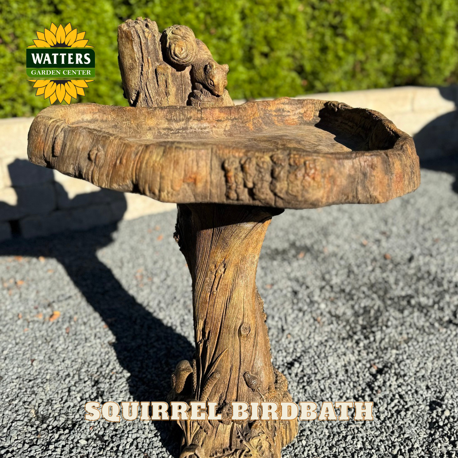Wooden squirrel birdbath with Watters Garden Center logo in the corner.