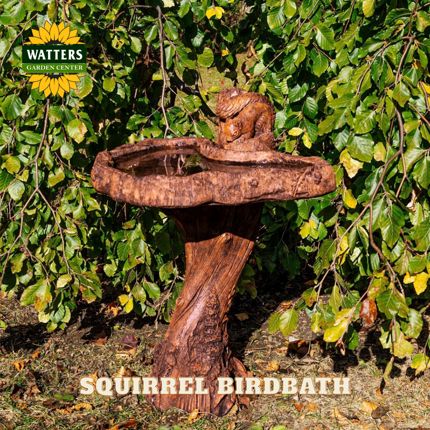 Wooden squirrel birdbath with Watters Garden Center logo against a leafy background