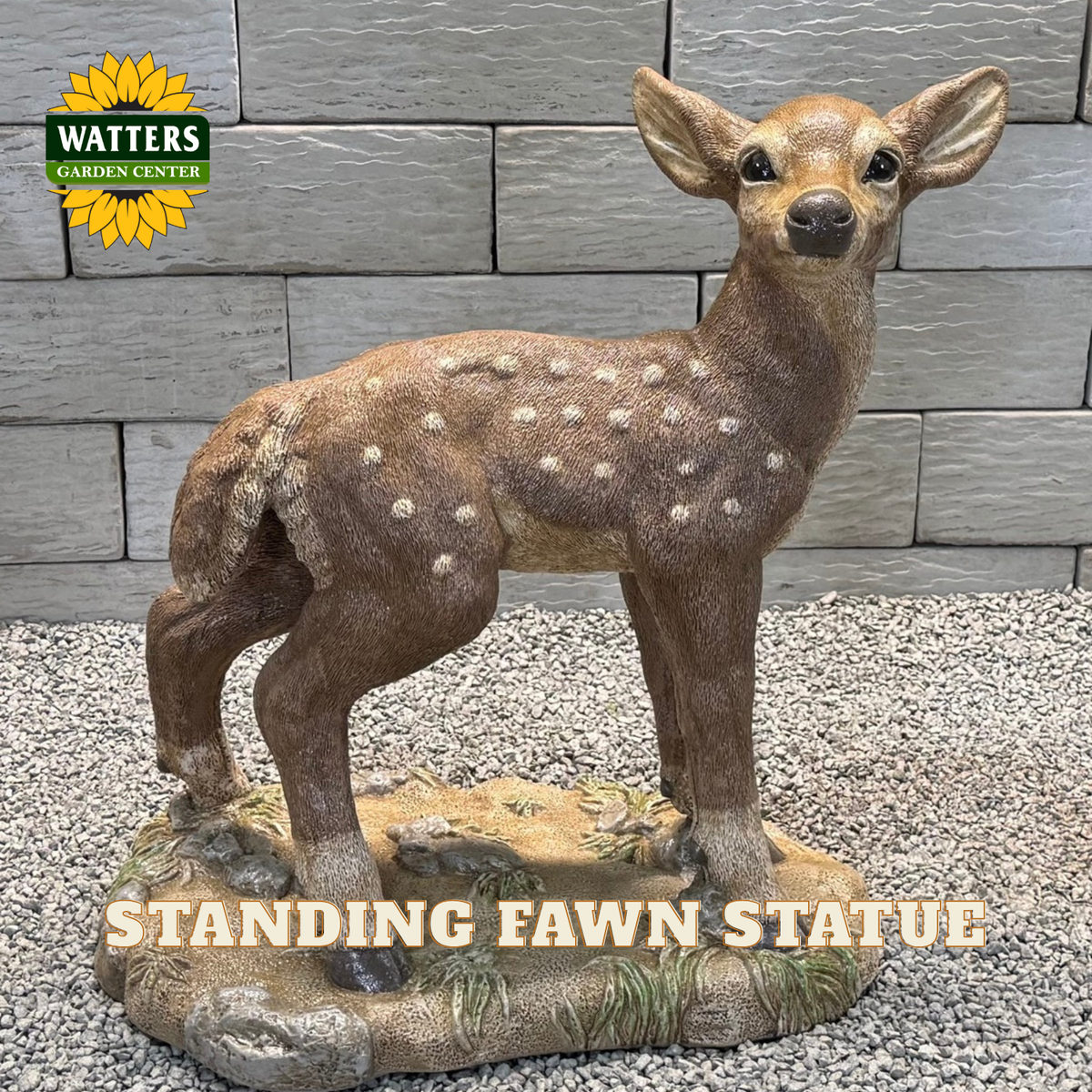 A realistic standing fawn statue with brown fur and white spots, displayed on a textured base against a gray stone wall backdrop. A Watters Garden Center logo appears in the top left, and 'STANDING FAWN STATUE' is written across the bottom.