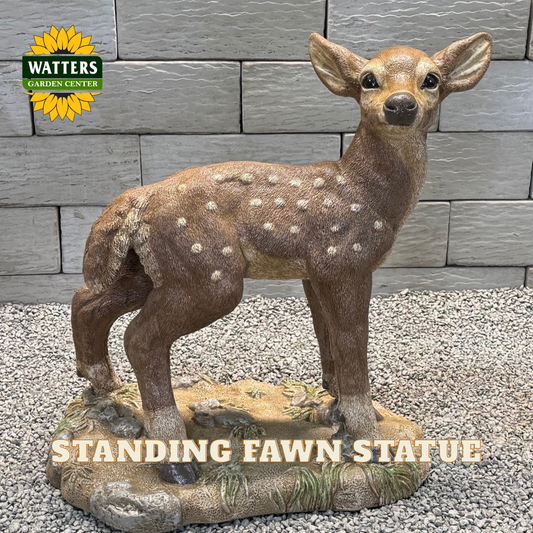 A realistic standing fawn statue with brown fur and white spots, displayed on a textured base against a gray stone wall backdrop. A Watters Garden Center logo appears in the top left, and 'STANDING FAWN STATUE' is written across the bottom.