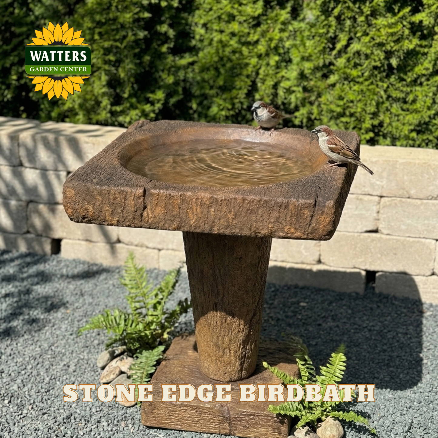 Stone edge birdbath with two birds on a Watters Garden Center background