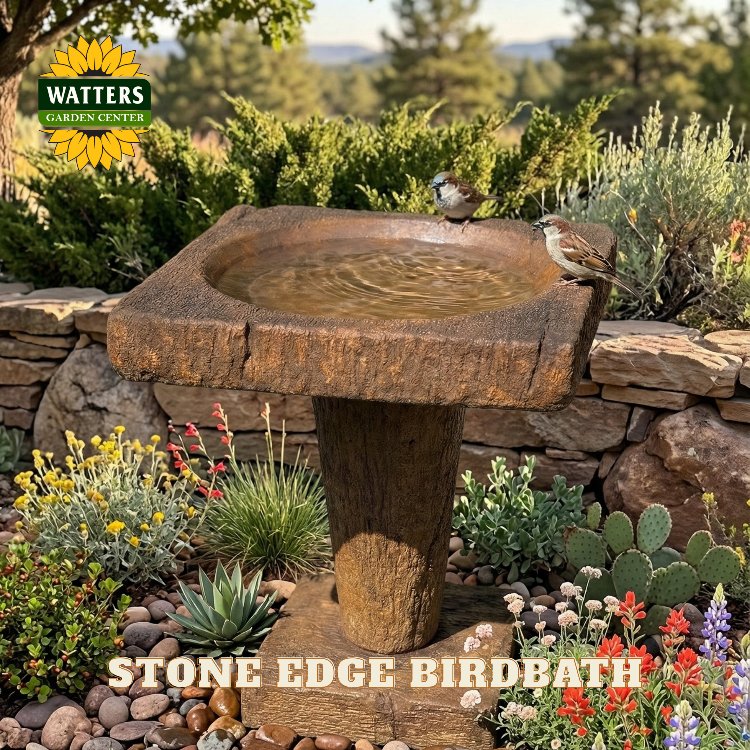 Stone edge birdbath with birds in a garden setting, featuring Watters Garden Center branding.