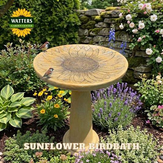 Sunflower-shaped birdbath in a garden setting with Watters Garden Center branding.