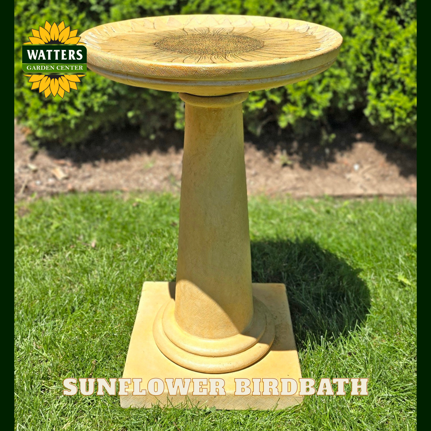 Sunflower birdbath on grass with Watters Garden Center branding