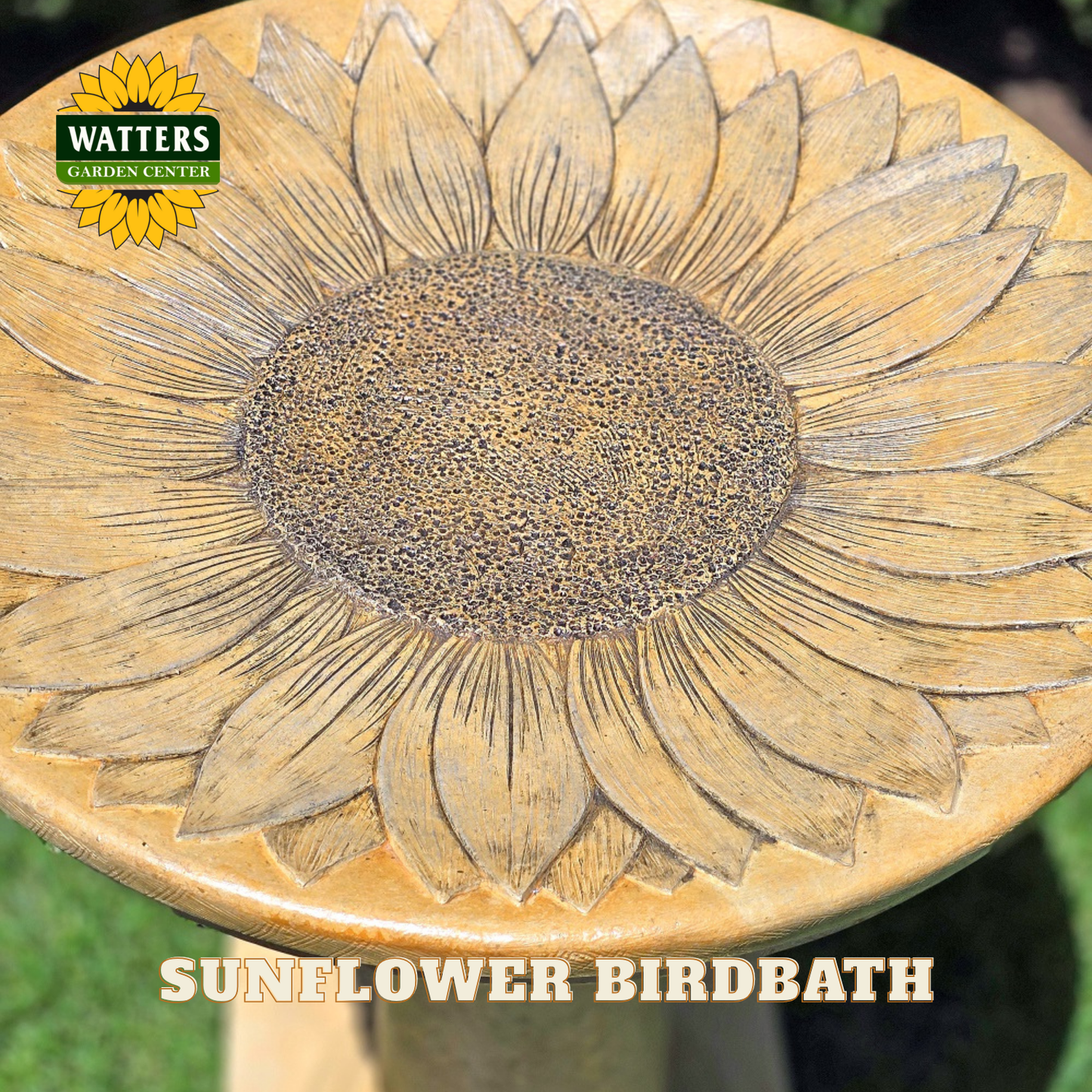 Sunflower-shaped birdbath with 'Watters Garden Center' logo and text.
