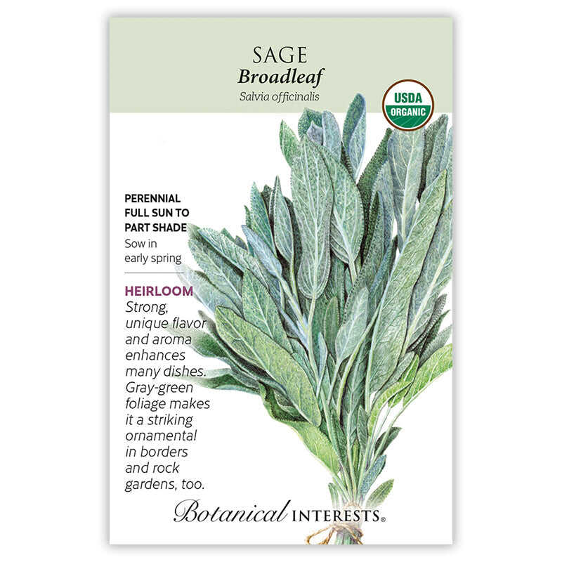 SEEDS 299
