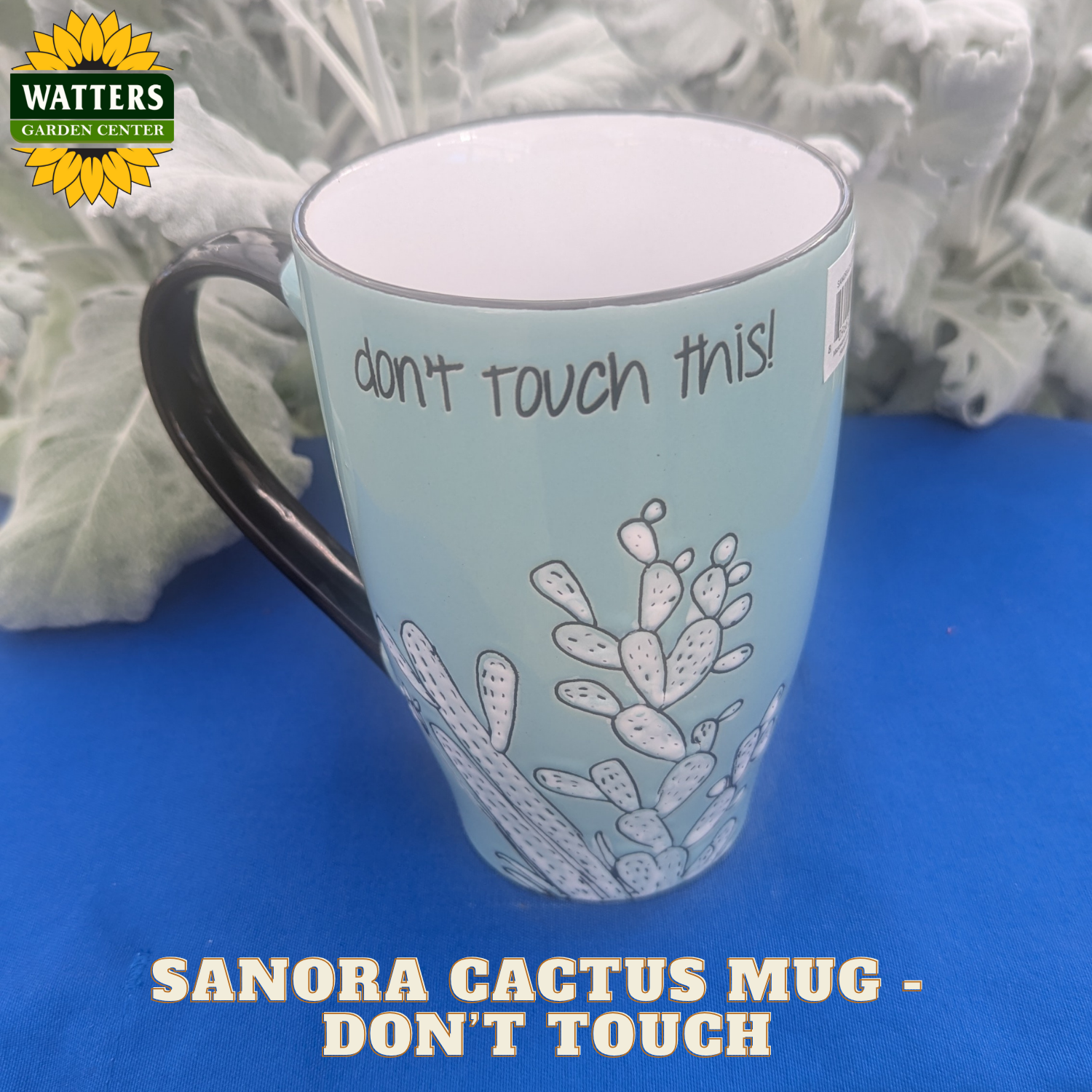 Light blue mug with cactus design and text 'don't touch this!' on a blue surface with Watters Garden Center branding.