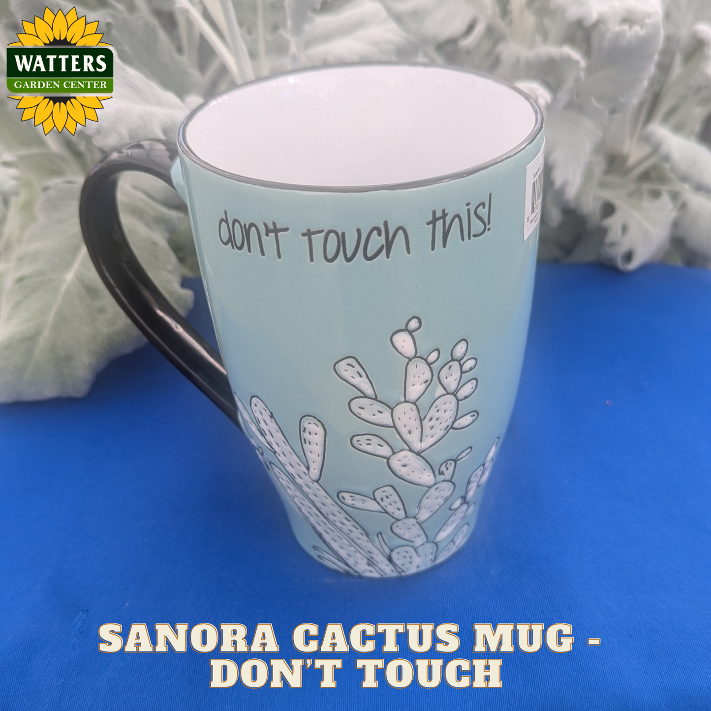 Light blue mug with cactus design and text 'don't touch this!' on a blue surface with Watters Garden Center branding.