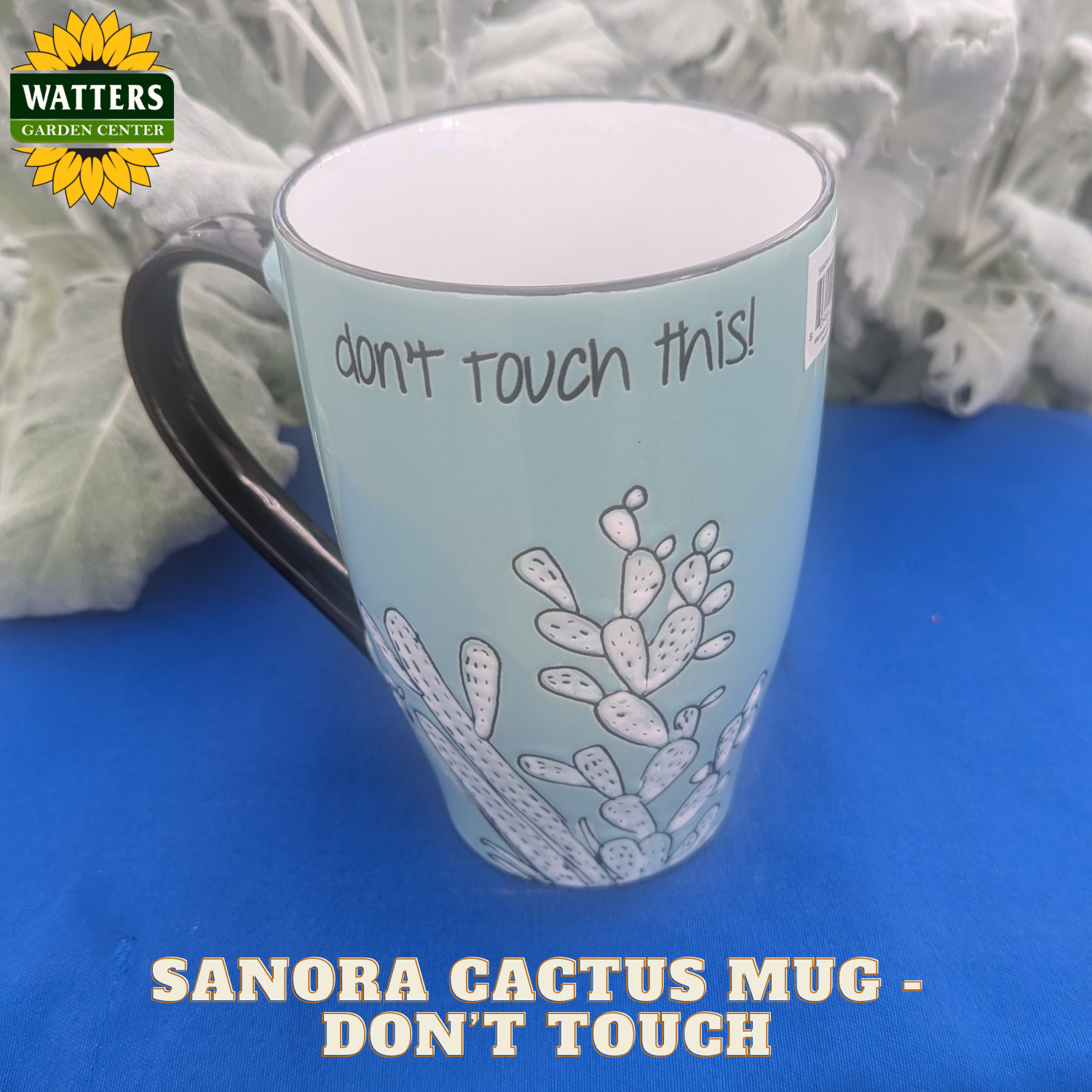 Light blue mug with cactus design and text 'don't touch this!' on a blue surface with Watters Garden Center branding.