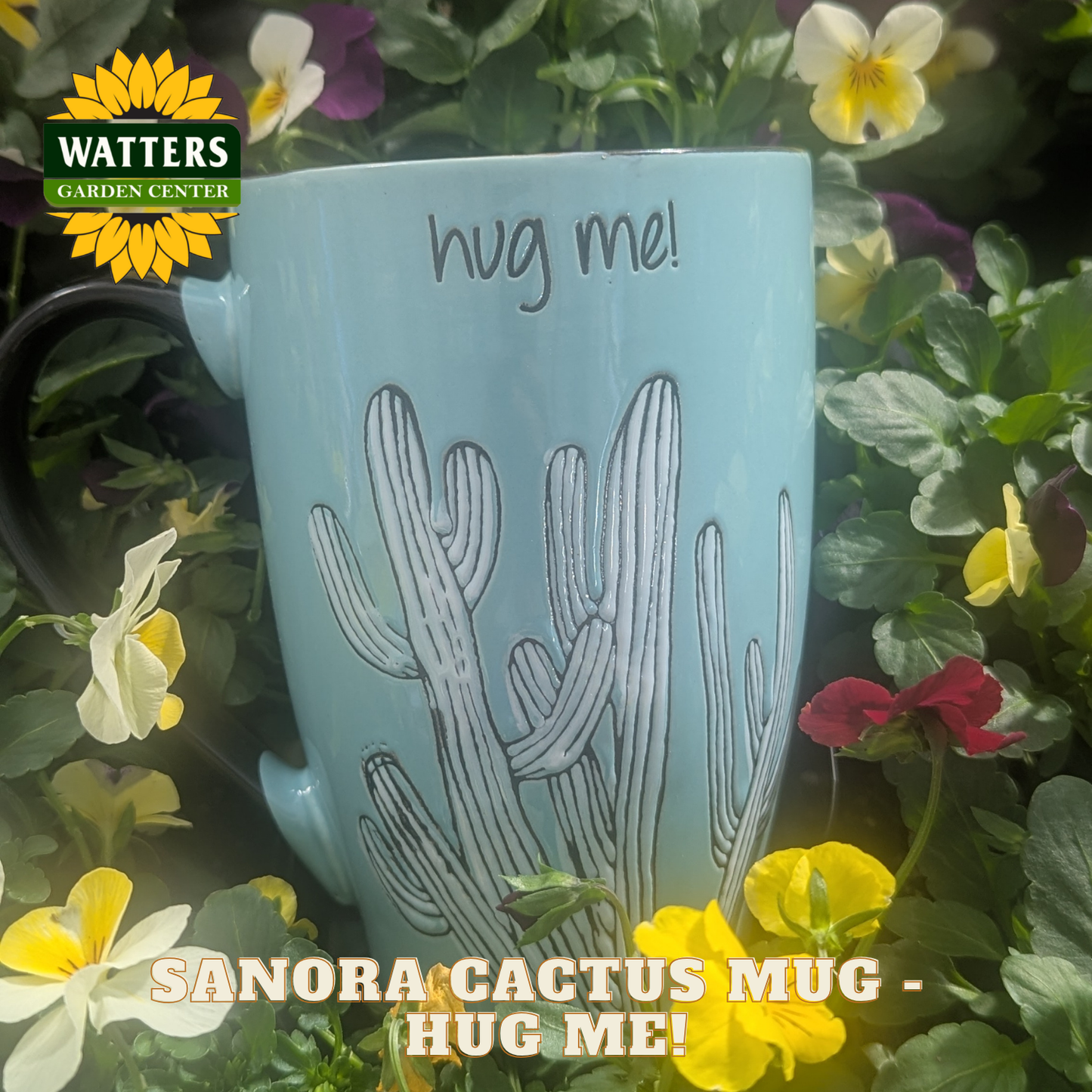 Light blue mug with cactus design and 'hug me!' text, surrounded by flowers and plants, with Watters Garden Center logo.