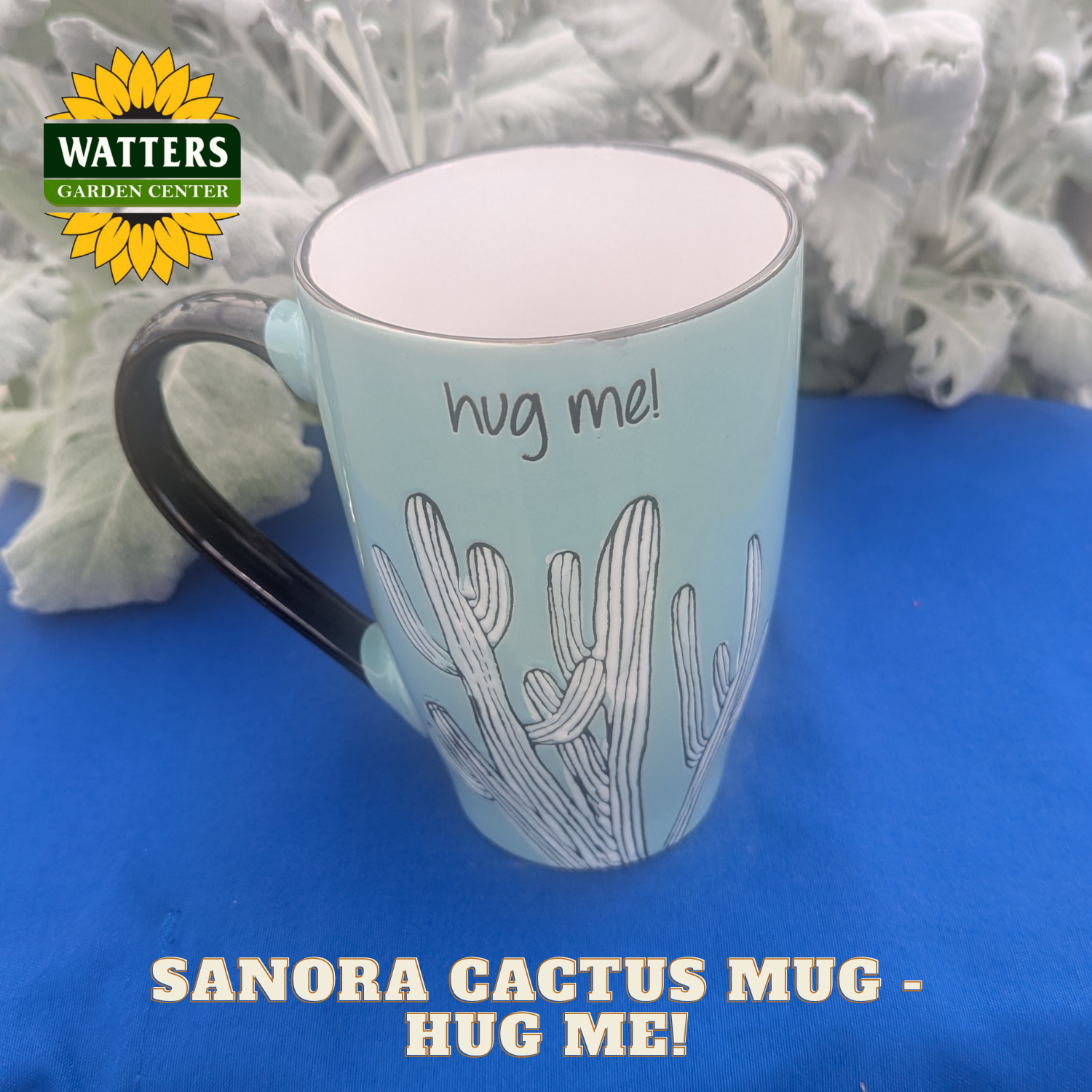 Light blue mug with cactus design and 'hug me!' text on a blue surface, with Watters Garden Center logo.