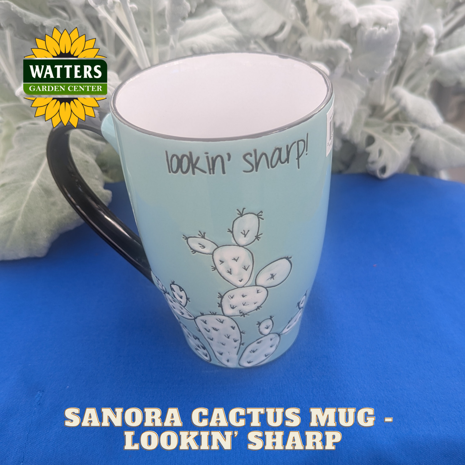 Light blue mug with cactus design and text 'lookin' sharp' on a blue surface with Watters Garden Center logo.