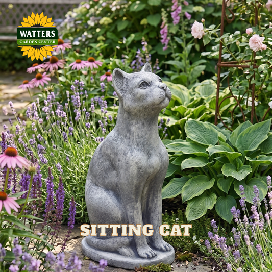 A gray stone-look statue of a sitting cat placed in a garden bed surrounded by purple flowers, green foliage, and plants. The Watters Garden Center logo appears in the top left, and the words 'SITTING CAT' are overlaid near the bottom.