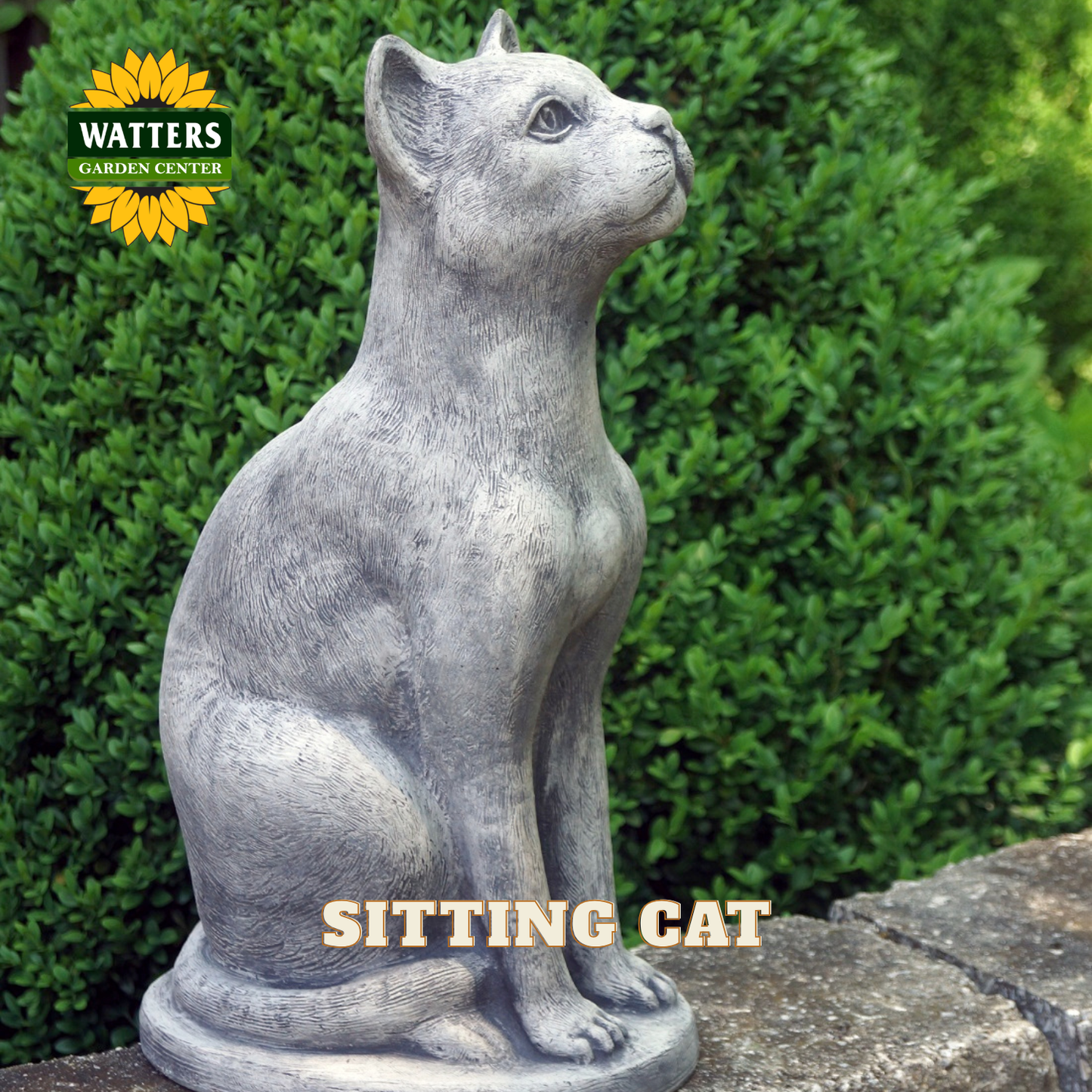 A gray stone-look statue of a sitting cat on a stone surface with a green hedge background. The Watters Gardens Center logo appears in the top left, and the words 'SITTING CAT' are overlaid at the bottom.