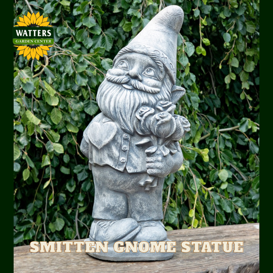 Male gnome statue holding roses and love symbols in garden setting.