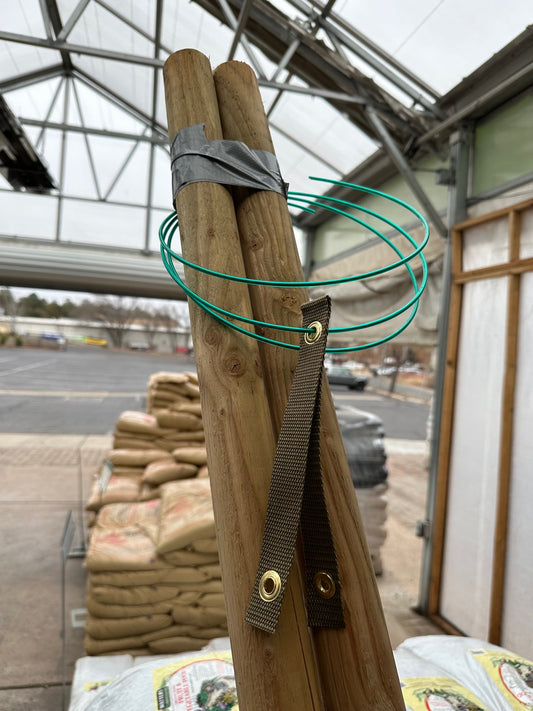 LODGE POLE STAKE 8ft