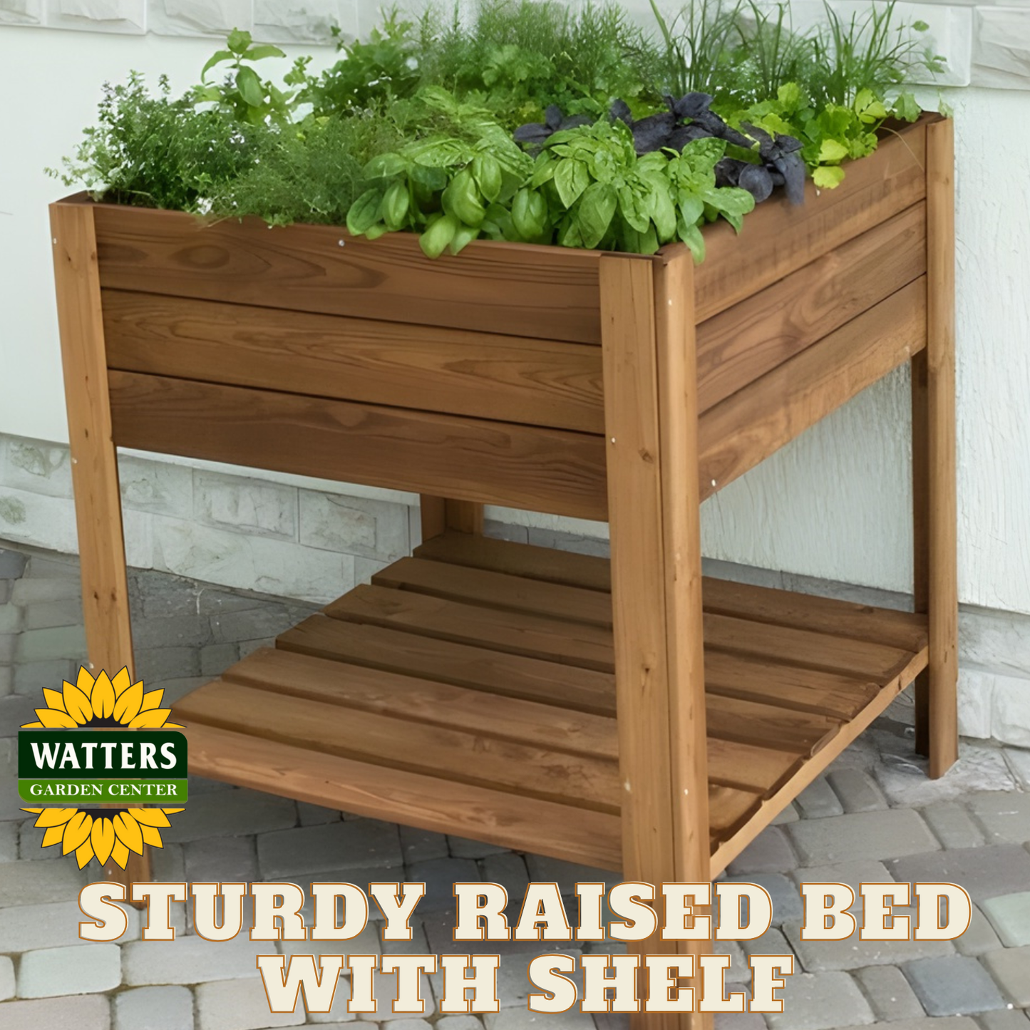 Sturdy Raised Bed with Shelf