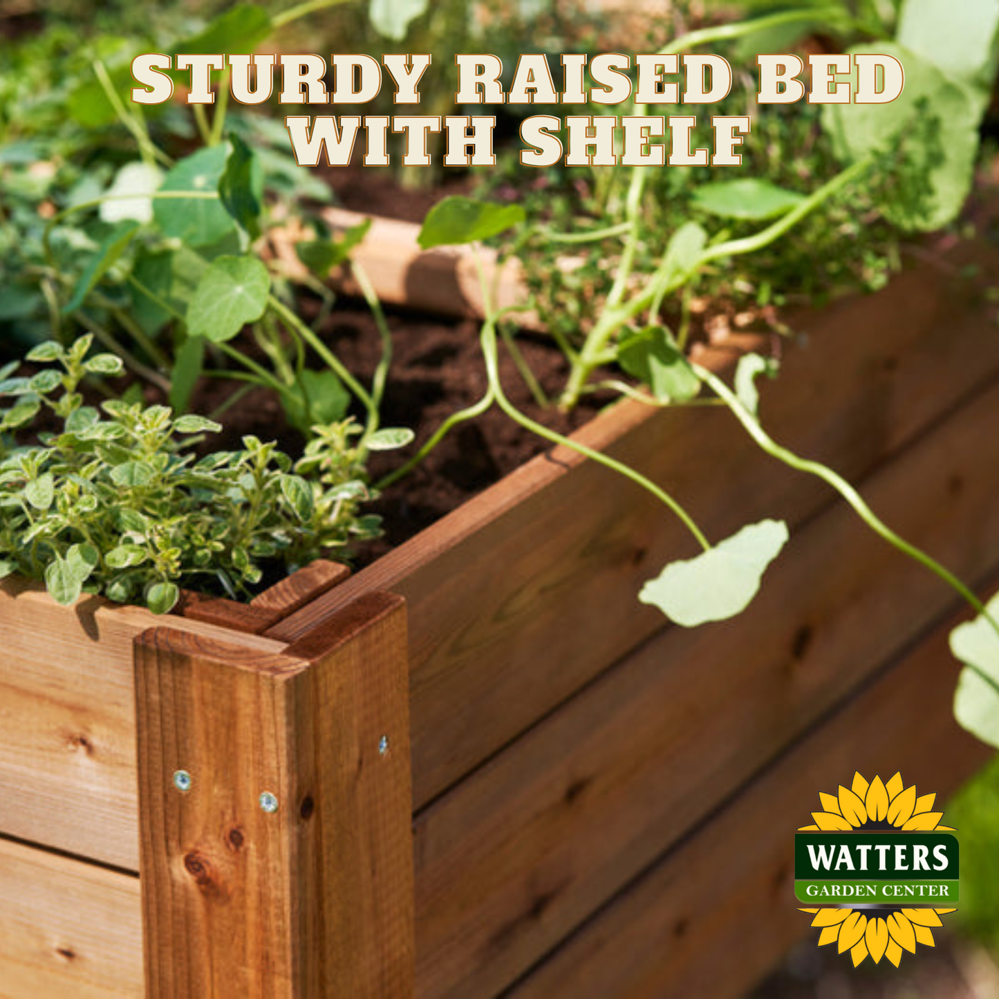 Sturdy Raised Bed with Shelf