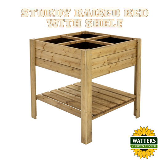 Sturdy Raised Bed with Shelf