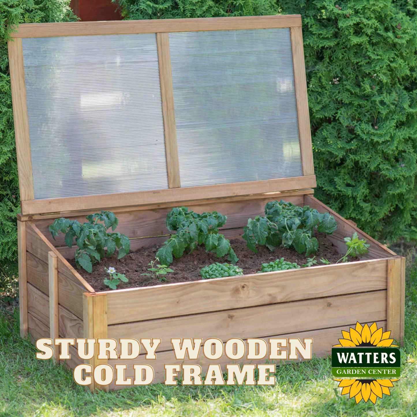 Wooden Cold Frame