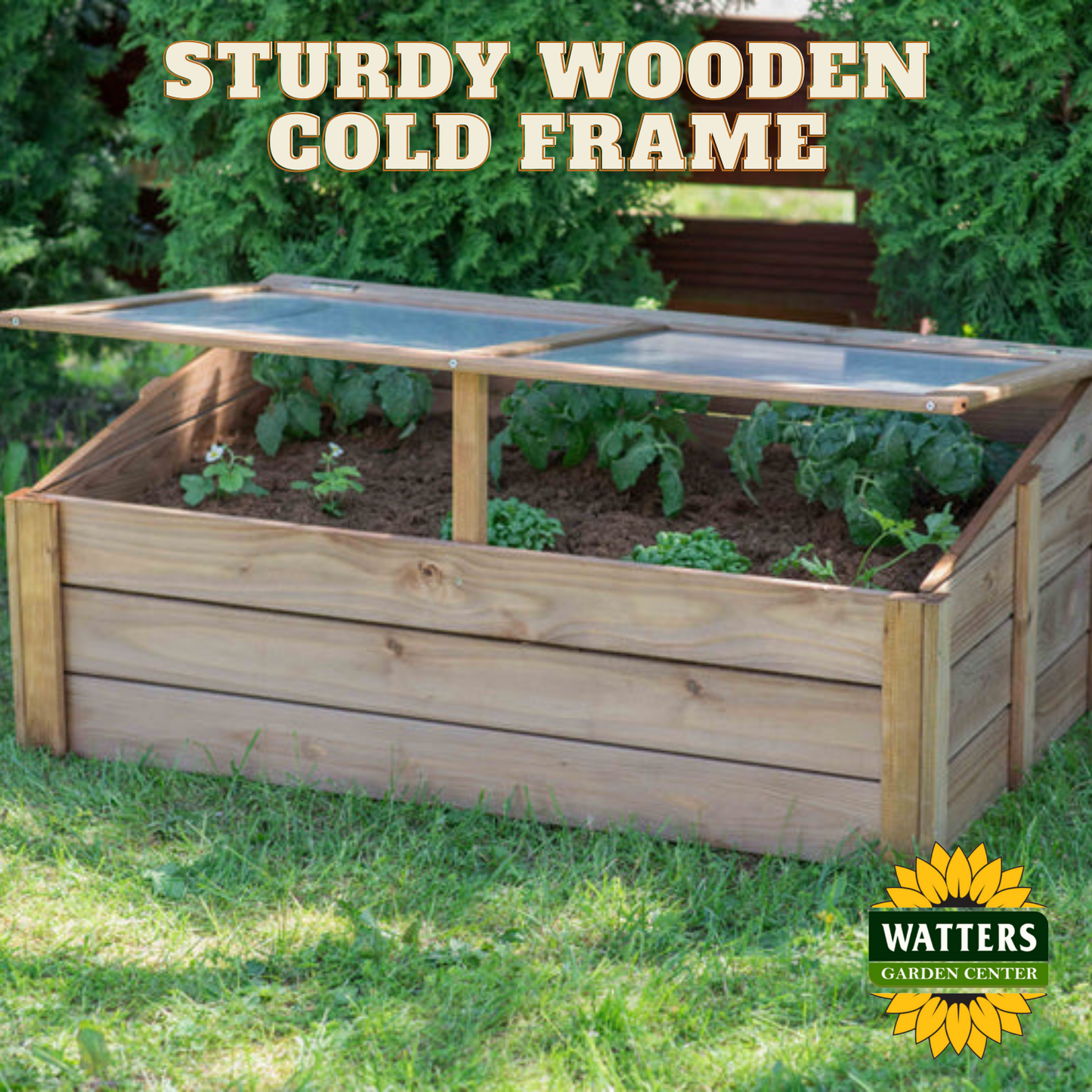 Wooden Cold Frame