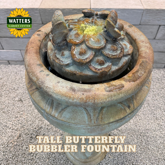 A Watters Garden Center butterfly fountain with a textured stone-look finish, featuring a central flower with butterfly spouts and water flowing into a wide pedestal bowl. The image includes a Watters Garden Center logo in the top-left corner and text overlay at the bottom reading 'TALL BUTTERFLY BUBBLER FOUNTAIN'.