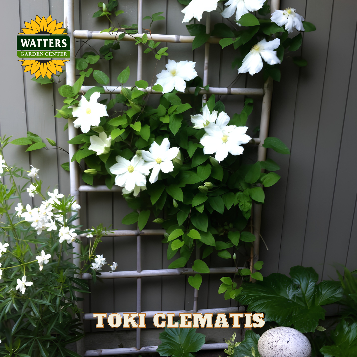Heart-shaped wreath of white flowers on a trellis with Watters Garden Center branding.