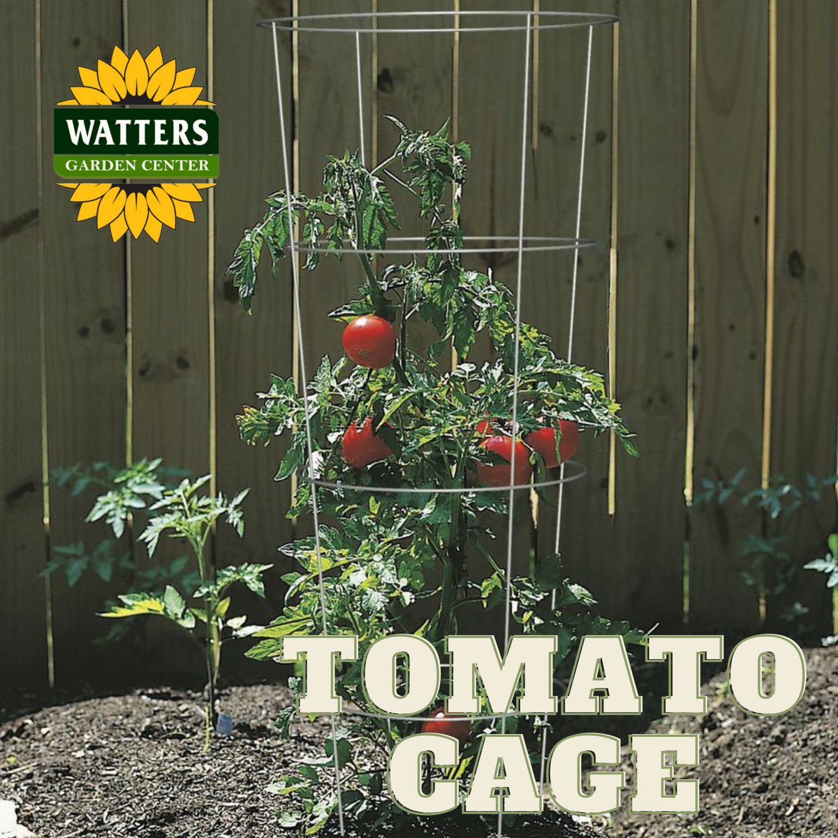 TOMATO CAGE 33in