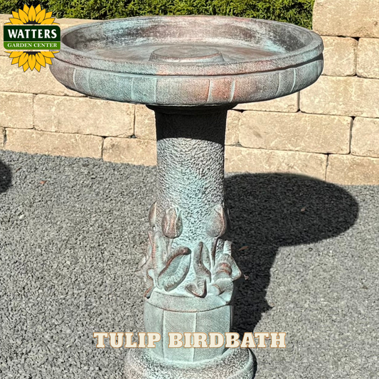 Tulip birdbath with decorative design on a stone patio, branded with Watters Garden Center.