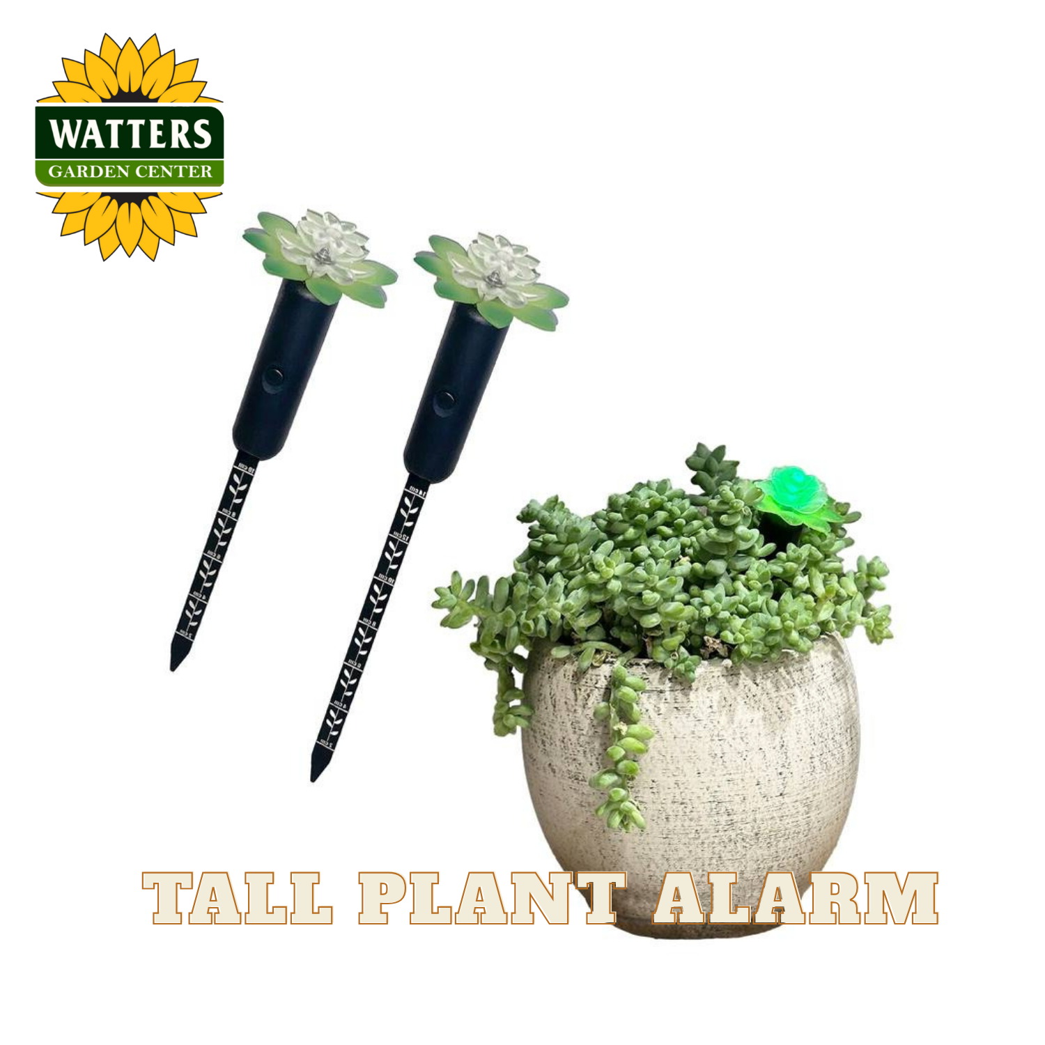 Plant watering alarm images showing the design along with an alarm inserted in burros tail succulent potted in a tan pot. Images set in front of a white background with a Watters Garden Center logo.