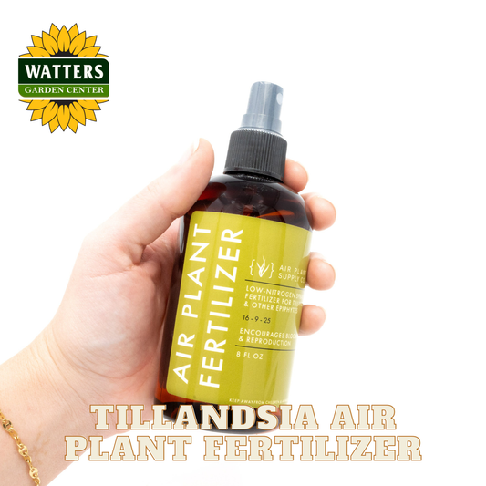 Hand holding a bottle of Tillandsia air plant fertilizer with Watters Garden Center logo.