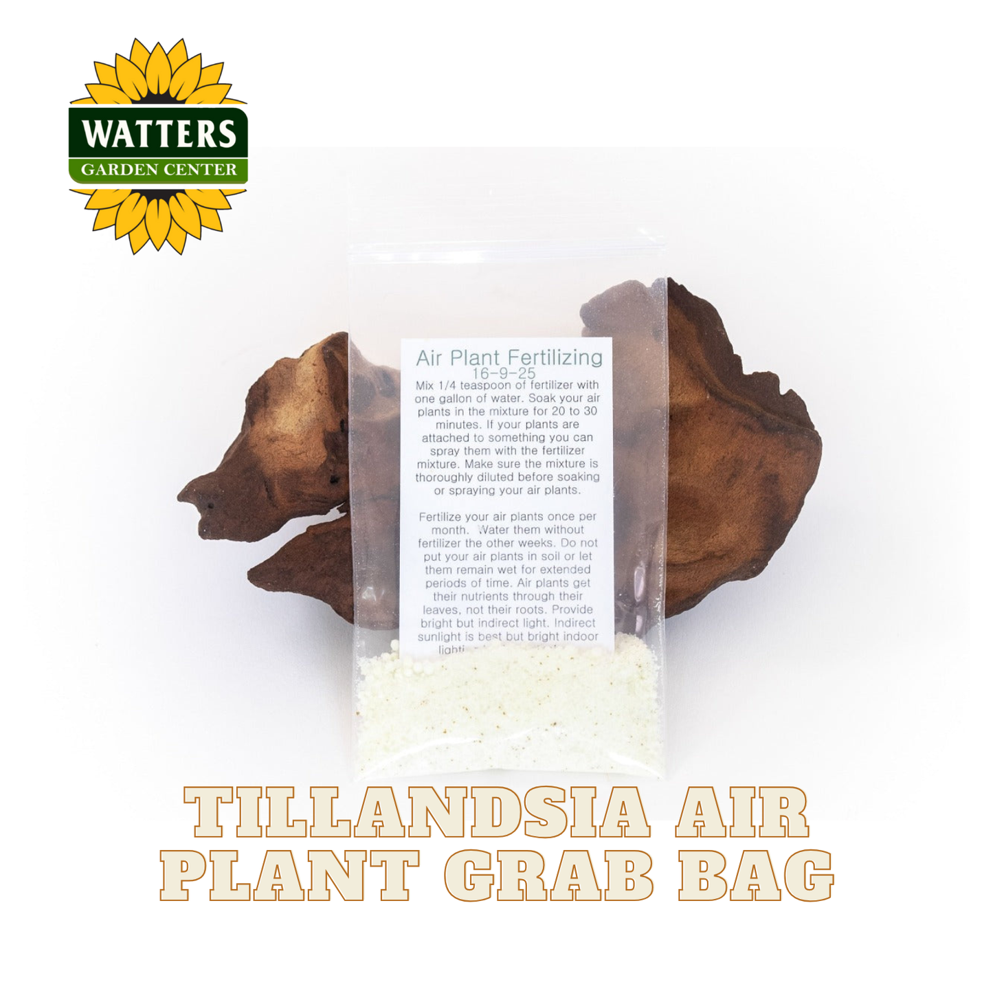 Tillandsia Air Plant Grab Bag of 10 Small & Medium Plants, Fertilizer & Air Plant Mister Set