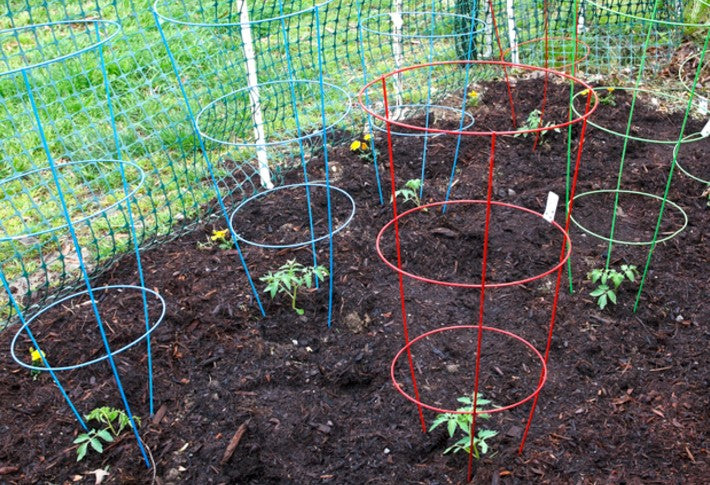 TOMATO CAGE 33in