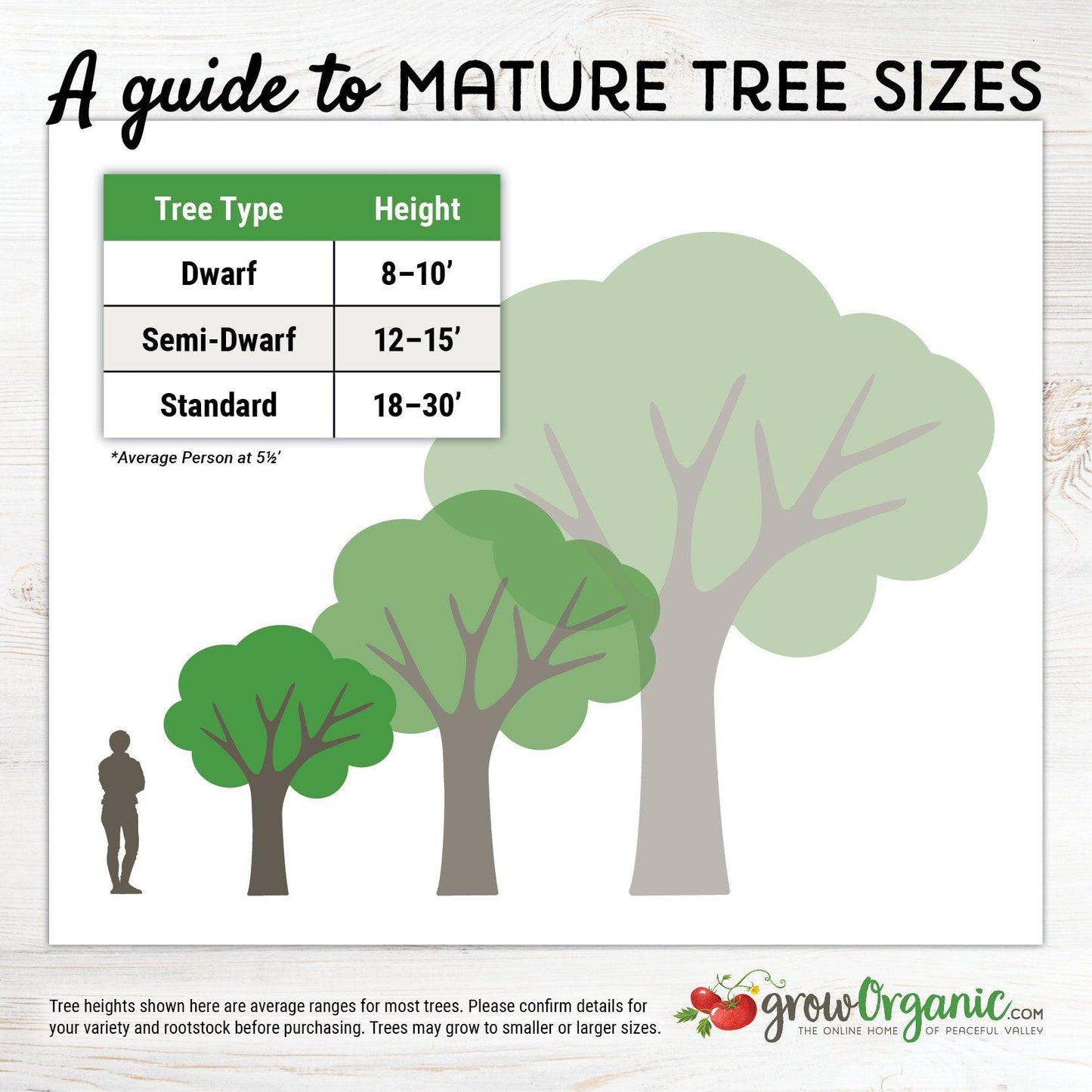 Flavor Delight Aprium Tree