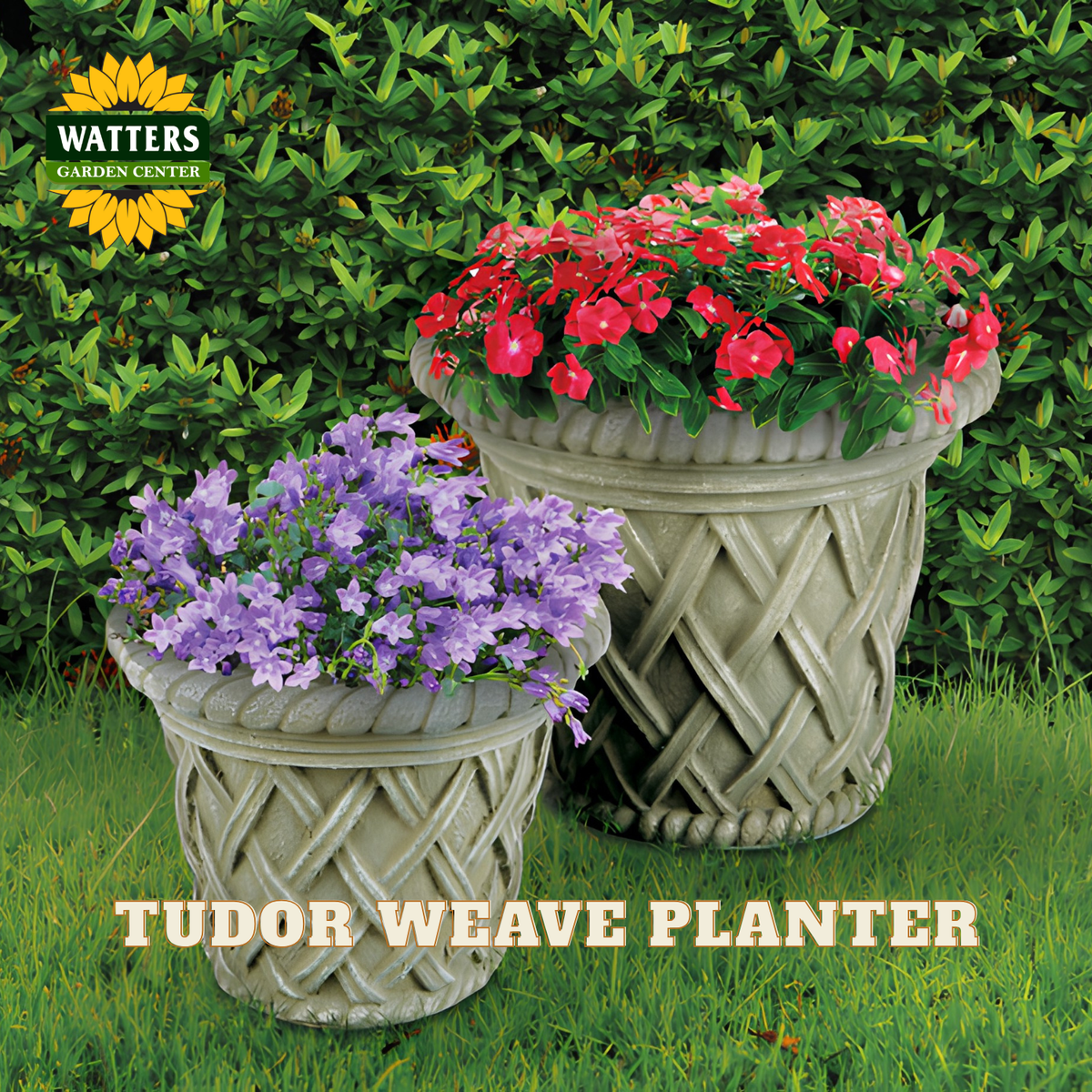 Two Watters Garden Center Tudor Weave planters shown outdoors on grass in front of a green hedge. One planter is filled with purple flowers and the other with red flowers.