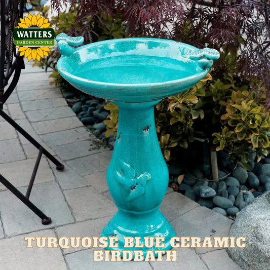 Turquoise blue ceramic birdbath with Watters Garden Center logo in the background.