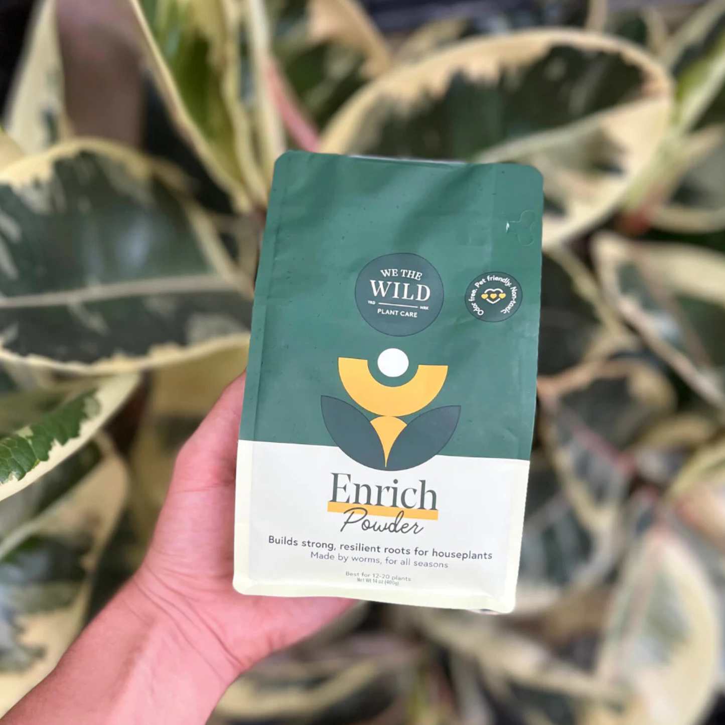 WE THE WILD: ENRICH POWDER SOIL