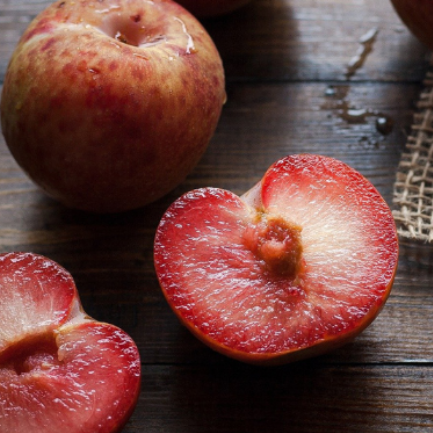 ELEPHANT HEART PLUM TREE 7gal