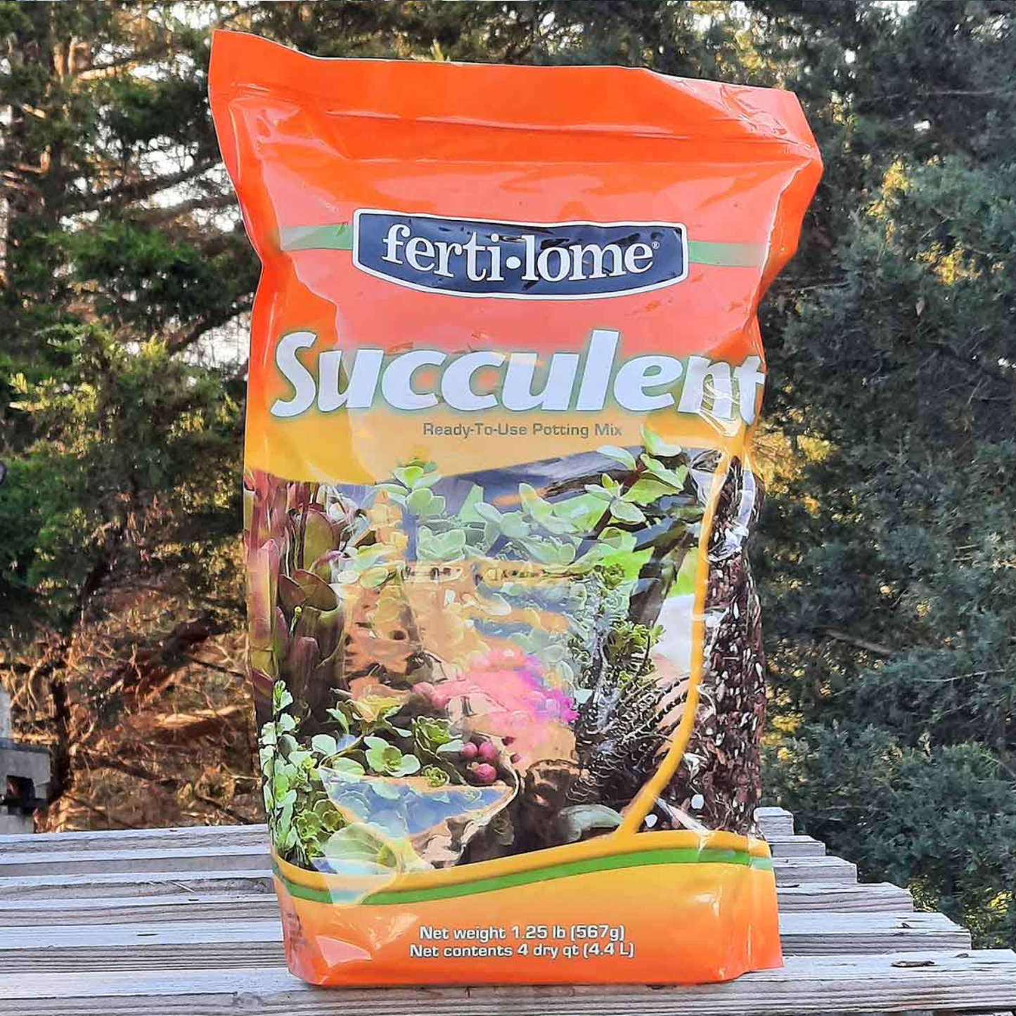 SUCCULENT MIX 8qt