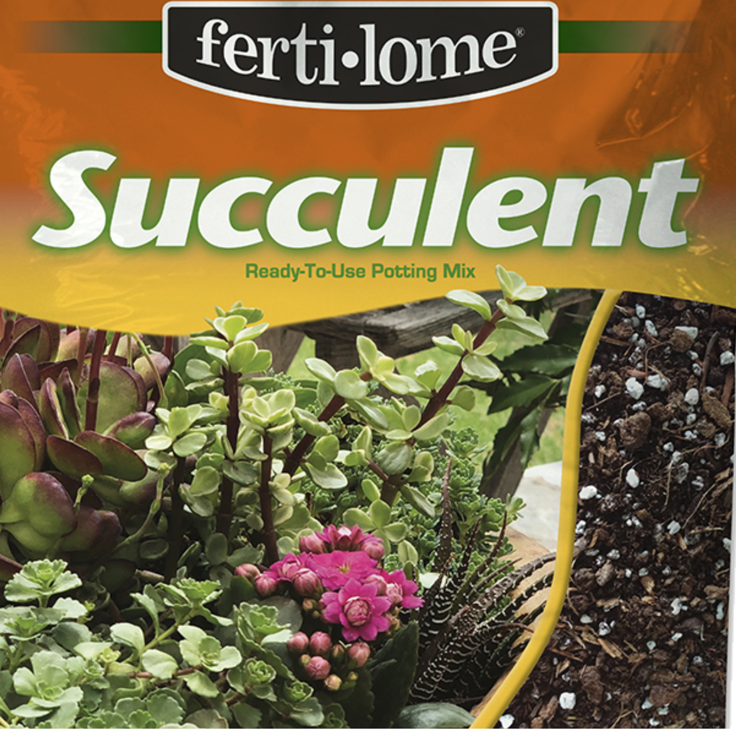 SUCCULENT MIX 8qt