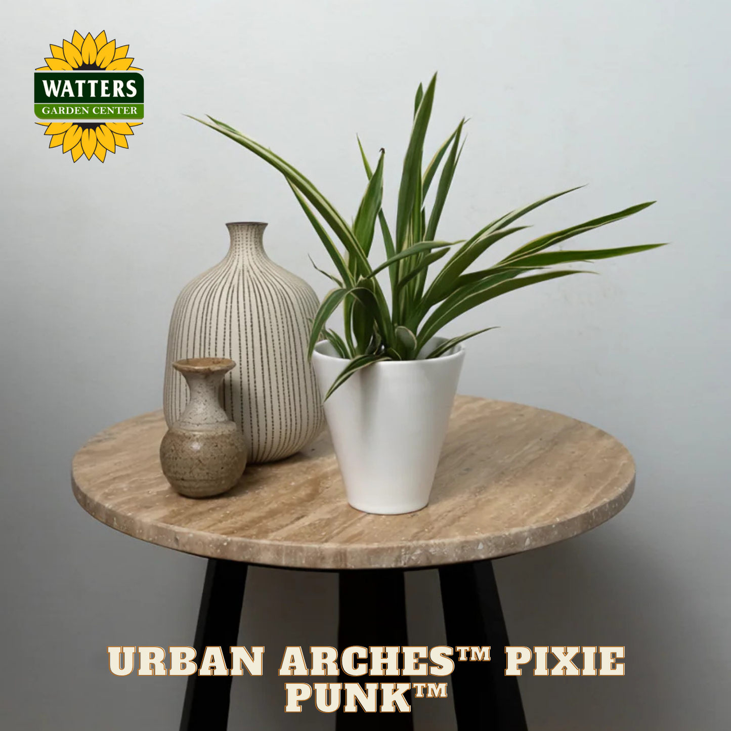Urban Arches™ Pixie Punk™