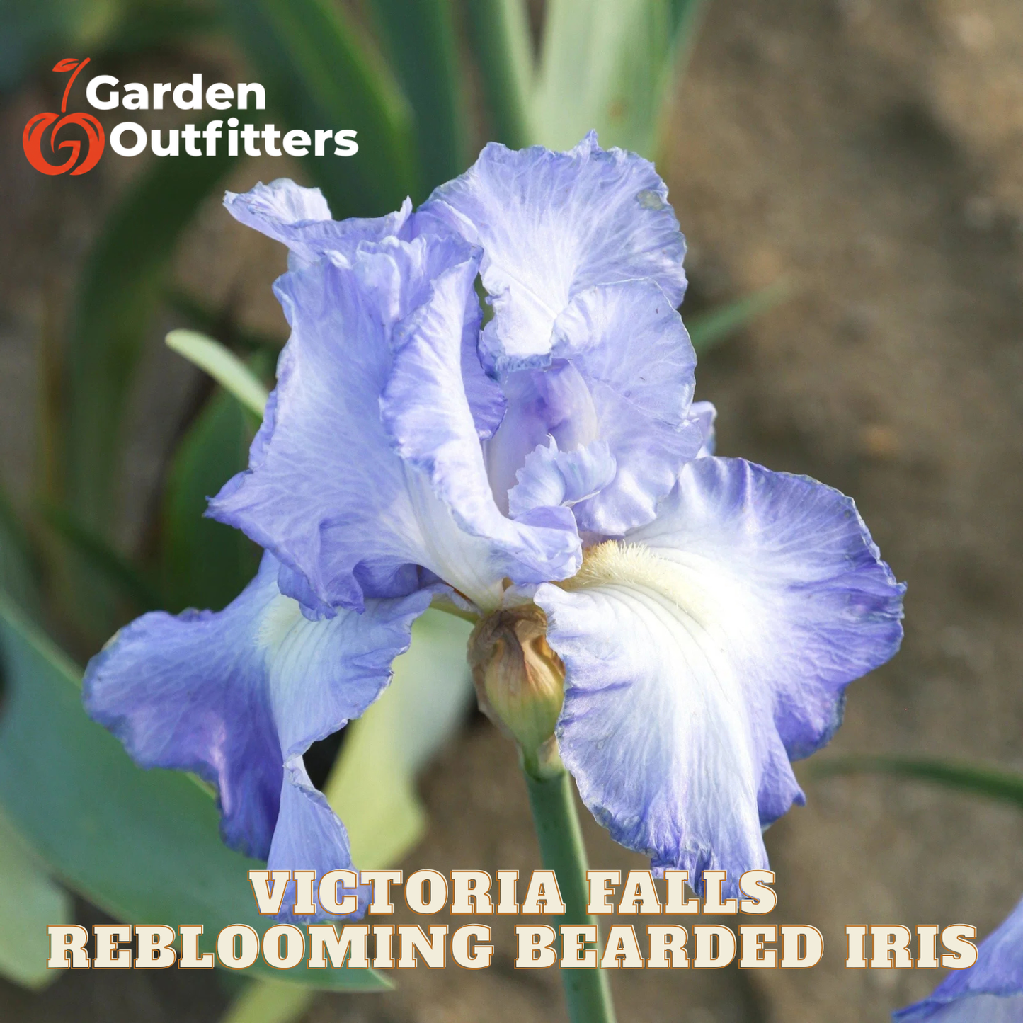 A close-up of a blooming bearded iris flower in soft lavender-blue and white, with green leaves and a blurred garden background. Text at the bottom reads 'VICTORIA FALLS REBLOOMING BEARDED IRIS' and the Garden Outfitters logo appears in the top left.