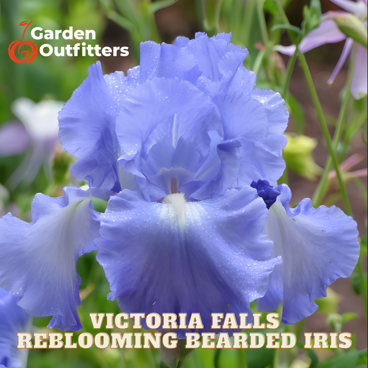 A close-up of a blooming bearded iris flower in soft periwinkle blue with white inner areas, photographed outdoors with green foliage blurred in the background. Text at the top left reads Garden Outfitters, and text at the bottom reads Victoria Falls Reblooming Bearded Iris.
