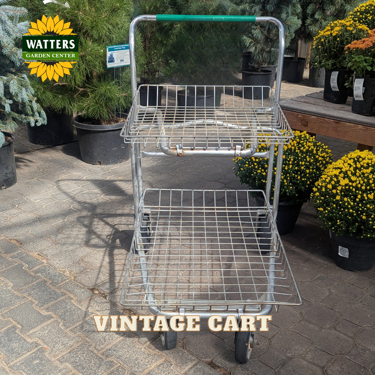 A vintage silver metal two-tier wire shopping cart with a green handle grip, photographed outdoors on a paved walkway in a garden center. Potted plants are visible in the background, and 'WATTERS GARDEN CENTER' and 'VINTAGE CART' text overlays are present.