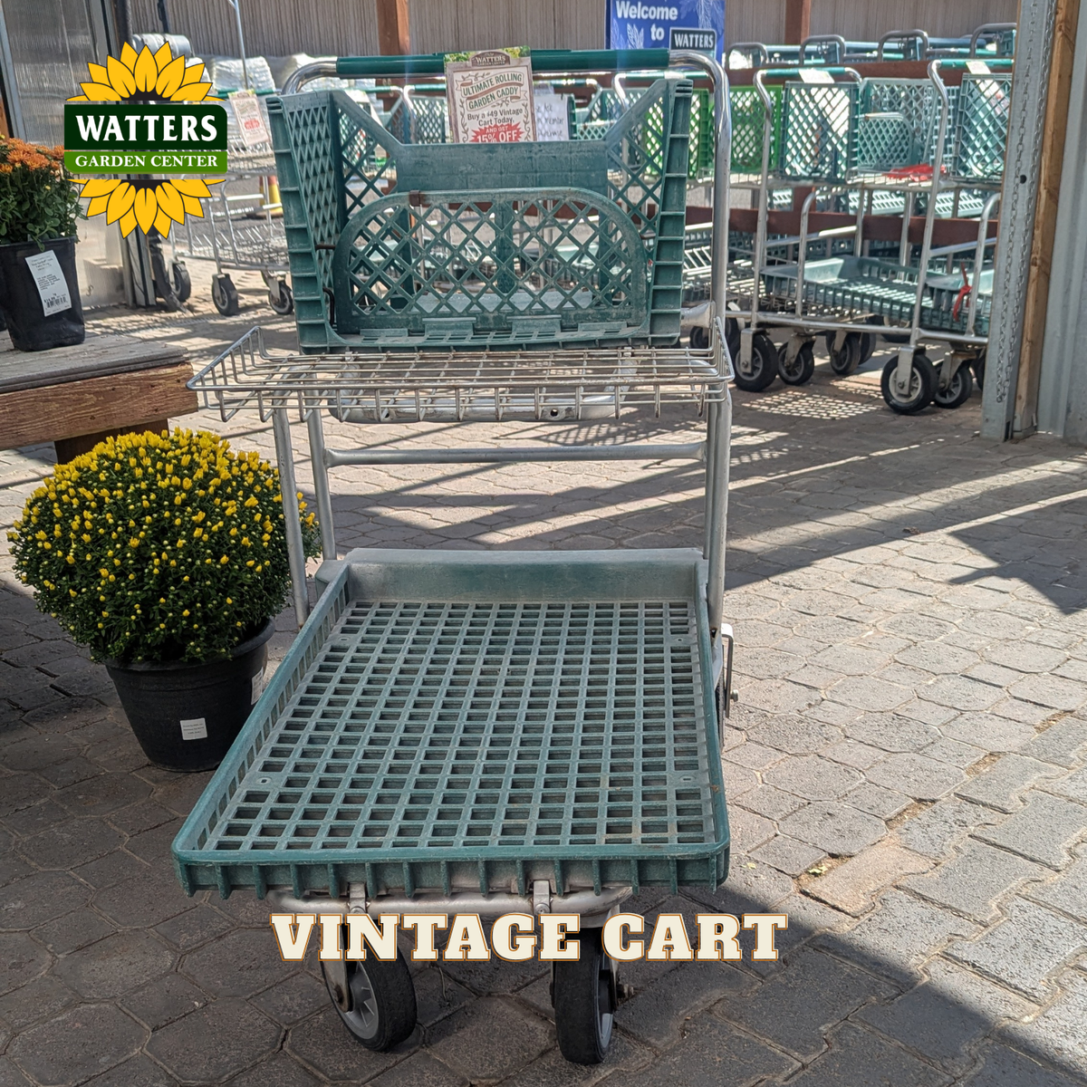 A vintage green plastic grid cart with a metal frame and wheels, photographed outdoors on a paved surface. Other shopping carts are visible in the background, along with a Watters Garden Center sign and a yellow flower bush in the foreground.