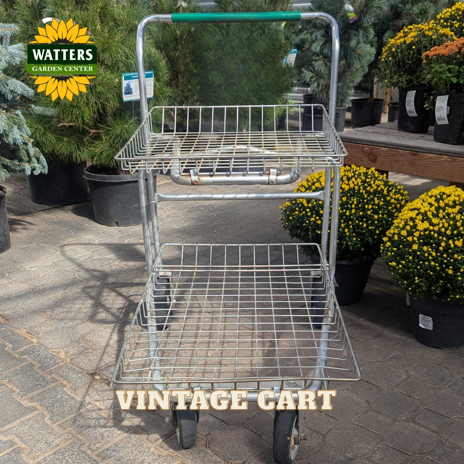 A vintage silver metal wire shopping cart with two levels of shelving and a green handle grip, photographed in a garden center setting with potted plants in the background. Text overlays read 'WATTERS GARDEN CENTER' and 'VINTAGE CART'.